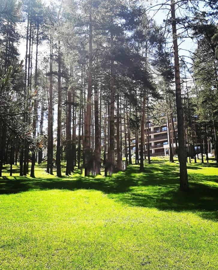 Panorama Lux Apartmani Vila Pekovic Zlatibor Buitenkant foto